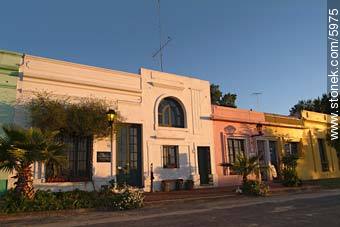  - Department of Colonia - URUGUAY. Photo #5975