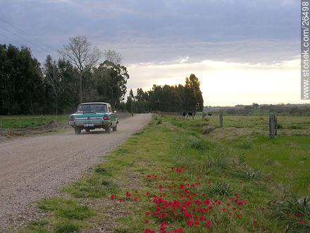  - Departamento de Colonia - URUGUAY. Foto No. 26498