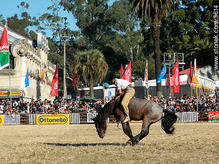  - Departamento de Montevideo - URUGUAY. Foto No. 3614