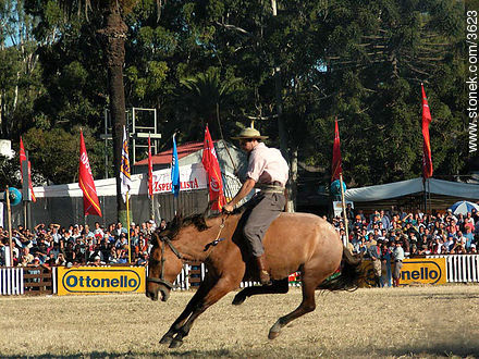  - Departamento de Montevideo - URUGUAY. Foto No. 3623
