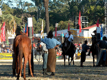  - Departamento de Montevideo - URUGUAY. Foto No. 3624