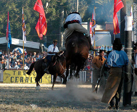  - Departamento de Montevideo - URUGUAY. Foto No. 3627