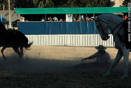  - Departamento de Montevideo - URUGUAY. Foto No. 3628