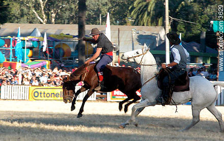  - Departamento de Montevideo - URUGUAY. Foto No. 3629