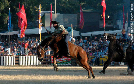  - Departamento de Montevideo - URUGUAY. Foto No. 3630