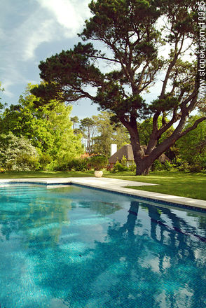 Swimming pool at the woods - Punta del Este and its near resorts - URUGUAY. Photo #10925
