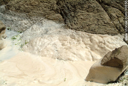 Foam in the rocks of the beach - Punta del Este and its near resorts - URUGUAY. Photo #10856
