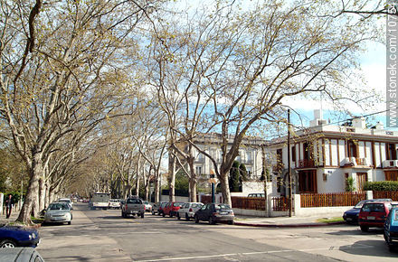 Avenida 19 de Abril - Departamento de Montevideo - URUGUAY. Foto No. 10754