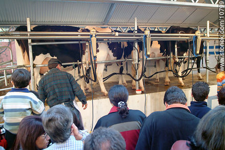 Milking machine - Department of Montevideo - URUGUAY. Photo #10799