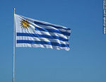 Bandera uruguaya - Foto #27235