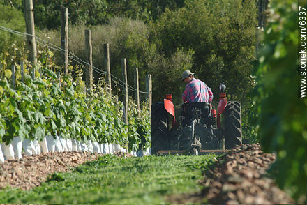  -  - URUGUAY. Foto No. 6337