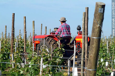  -  - URUGUAY. Foto No. 6349