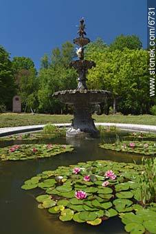 Botanical Garden - Department of Montevideo - URUGUAY. Photo #6731