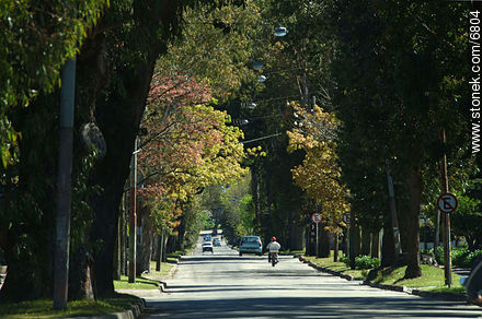 Rivera Avenue - Department of Montevideo - URUGUAY. Photo #6804