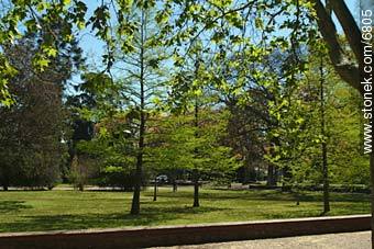  - Departamento de Montevideo - URUGUAY. Foto No. 6805