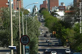  - Department of Montevideo - URUGUAY. Photo #6944