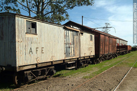 Old AFE wagons - Department of Florida - URUGUAY. Photo #7349