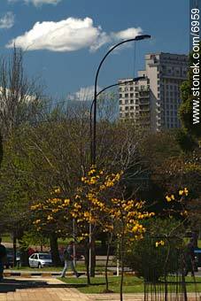  - Departamento de Montevideo - URUGUAY. Foto No. 6959