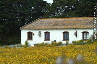  - Departamento de Maldonado - URUGUAY. Foto No. 6603