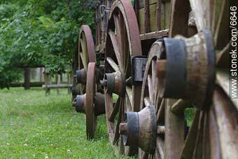  - Departamento de Maldonado - URUGUAY. Foto No. 6646