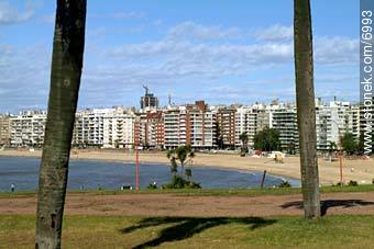  - Departamento de Montevideo - URUGUAY. Foto No. 6993