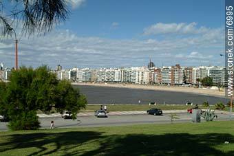 Pocitos promenade - Department of Montevideo - URUGUAY. Photo #6995