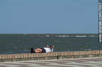 Pocitos promenade - Department of Montevideo - URUGUAY. Photo #7007
