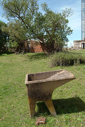 Pileta de lavar -  - URUGUAY. Foto No. 7306