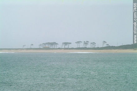 Jose Ignacio's west bay - Punta del Este and its near resorts - URUGUAY. Foto No. 7466