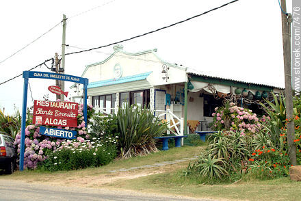  - Punta del Este and its near resorts - URUGUAY. Foto No. 7476