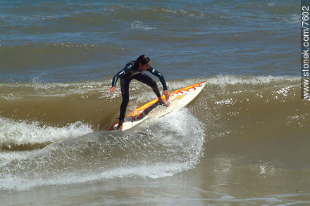 Surfing in Bikini beach. - Punta del Este and its near resorts - URUGUAY. Photo #7602