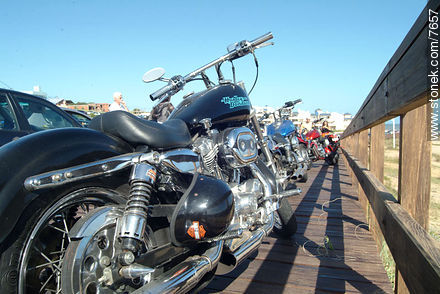 Some Harley and Davidson motocycles - Punta del Este and its near resorts - URUGUAY. Photo #7657