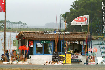  - Punta del Este y balnearios cercanos - URUGUAY. Foto No. 7677