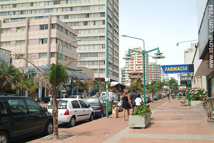 Avenida Gorlero - Punta del Este y balnearios cercanos - URUGUAY. Foto No. 7994