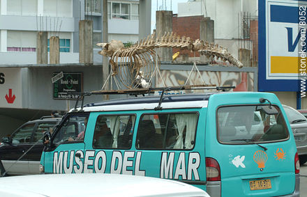  - Punta del Este and its near resorts - URUGUAY. Photo #8052