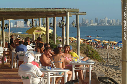 Disfrutando de charla y almuerzo frente al mar - Punta del Este y balnearios cercanos - URUGUAY. Foto No. 7983