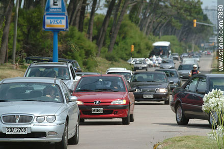  - Punta del Este y balnearios cercanos - URUGUAY. Foto No. 7880