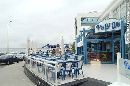  - Punta del Este y balnearios cercanos - URUGUAY. Foto No. 7898