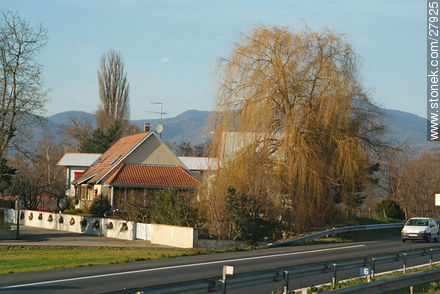 View from routes A35 y E25. - Region of Alsace - FRANCE. Foto No. 27925