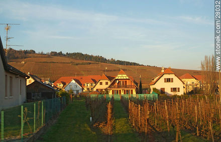 Zellenberg. Pueblo vitivinícola - Región de Alsacia - FRANCIA. Foto No. 28032