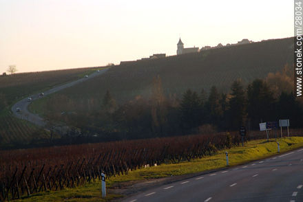 Route D1b - Region of Alsace - FRANCE. Photo #28034