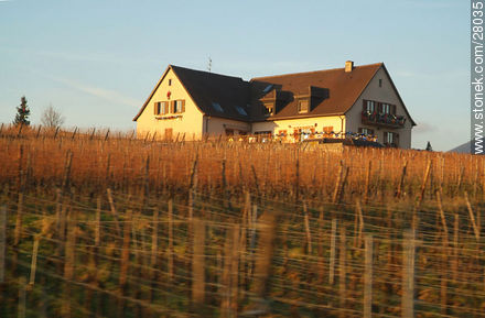 Residencia de campo vitivinícola - Región de Alsacia - FRANCIA. Foto No. 28035