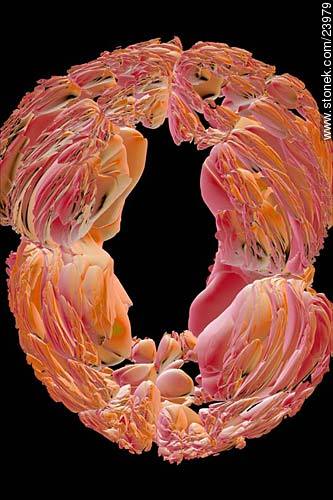  -  - FOTOGRAFÍA DIGITAL. Foto No. 23979