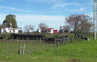  -  - URUGUAY. Foto No. 5885