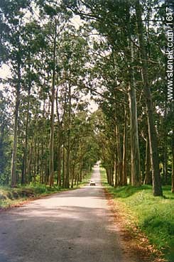 Entrada al Parque de Vacaciones de UTE-Antel - Departamento de Lavalleja - URUGUAY. Foto No. 1617