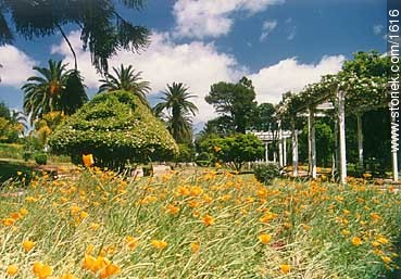 Parque Rodó de la ciudad de Minas, Lavalleja - Departamento de Lavalleja - URUGUAY. Foto No. 1616