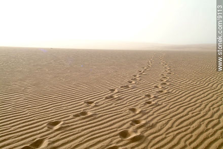 Huellas en las dunas - Departamento de Rocha - URUGUAY. Foto No. 9113