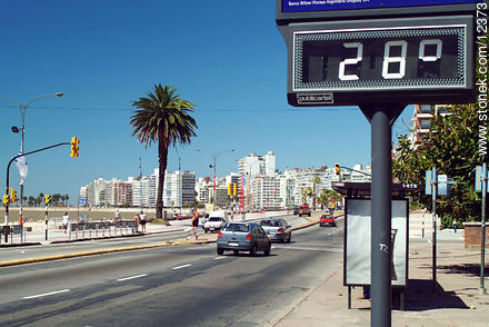 Rambla de Pocitos - Departamento de Montevideo - URUGUAY. Foto No. 12373