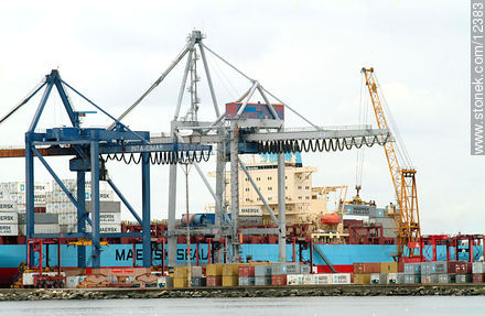Grúas en el puerto de Montevideo - Departamento de Montevideo - URUGUAY. Foto No. 12383