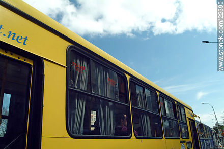 Bus - Department of Montevideo - URUGUAY. Photo #22390